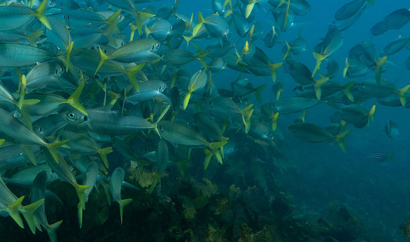 1772612408389936.jpg 水产养殖2.jpg