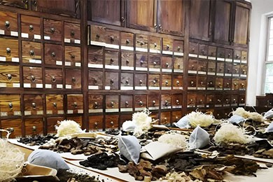 氮气在中药材存储中的应用