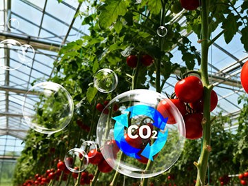 从气体分离到农作物增产：CO₂纯化技术驱动气肥应用